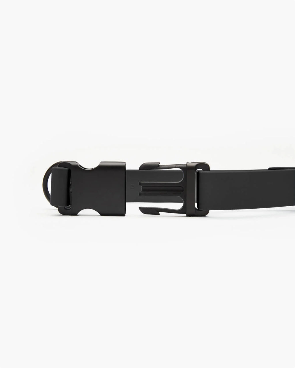 Signature Collar